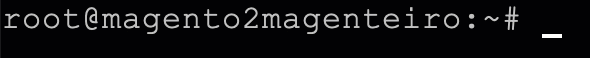Terminal piscando