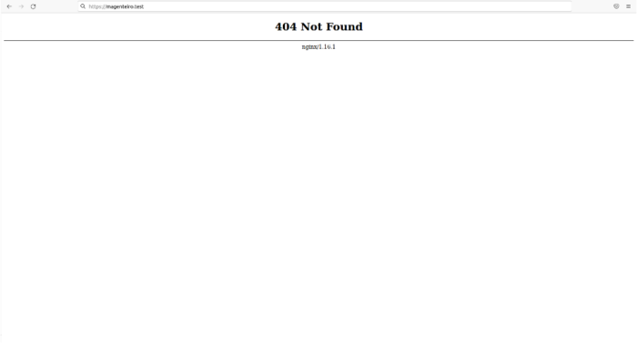 Página 404 depois de instalar o Warden