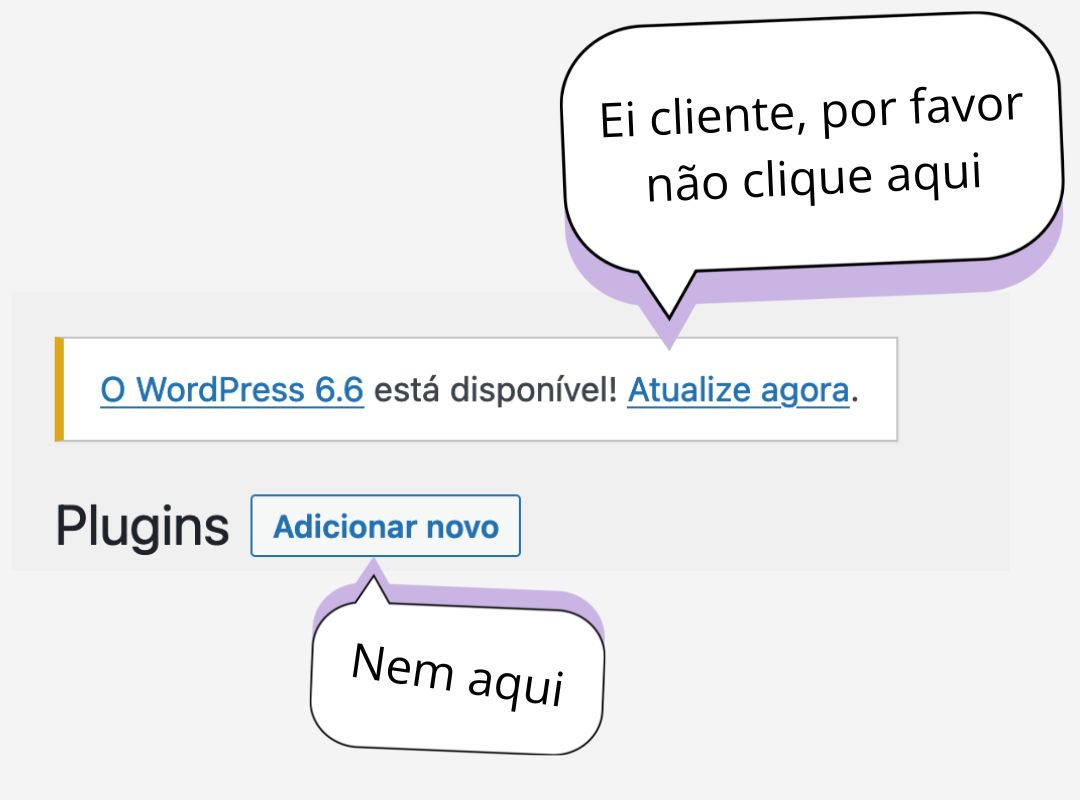 Ei cliente, por favor não clique para atualizar o wordpress nem instalar plugins, ok?